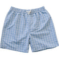 Light Blue Gingham Adult Men's Swim Shorts